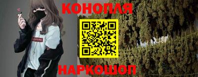 индика Пугачёв