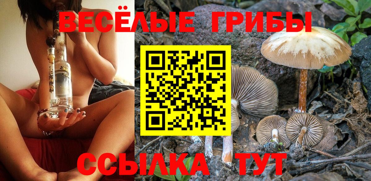 Серпухов  Псилоцибиновые грибы Psilocybine cubensis  Вход с VPN 